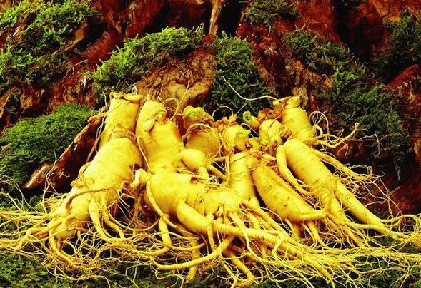 Mga natural nga tambal alang sa kahanas