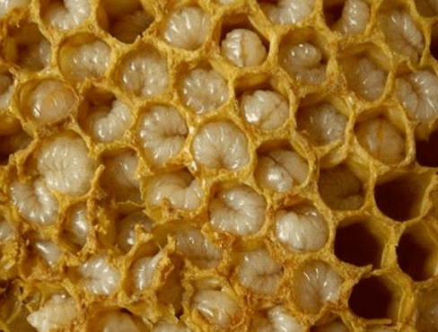 Mga produkto sa Beekeeping